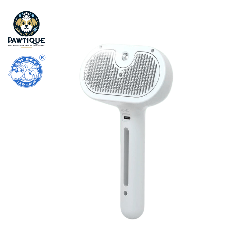 L&W BROS Brush With Steam Spray