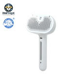 L&W BROS Brush With Steam Spray