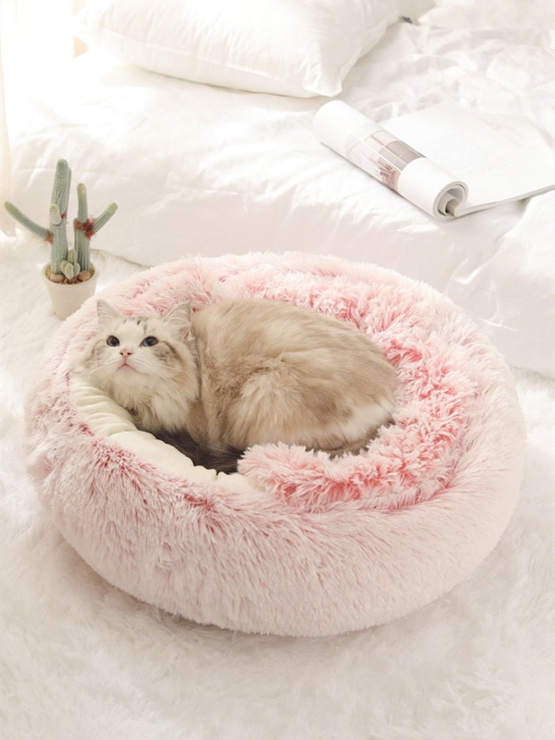 Snuggle into Comfort with the 2-in-1 Bed