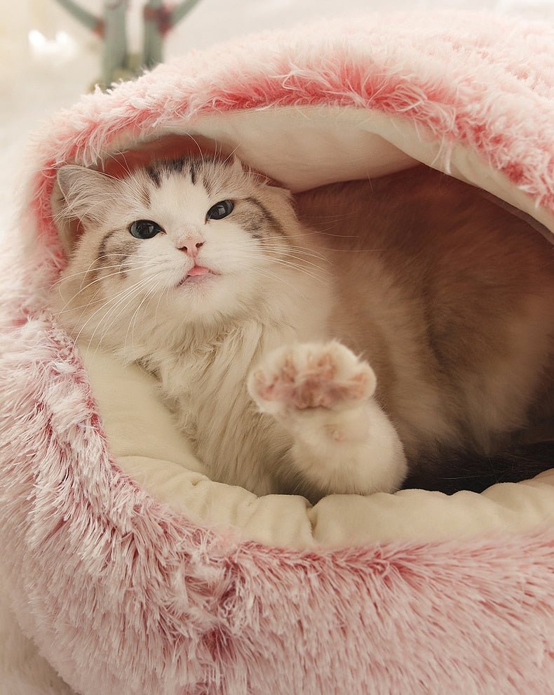 Snuggle into Comfort with the 2-in-1 Bed