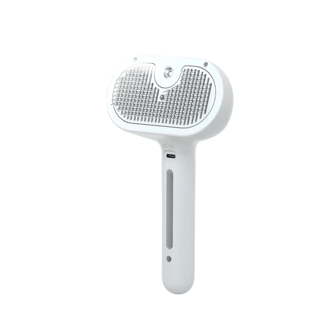 L&W BROS Brush With Steam Spray