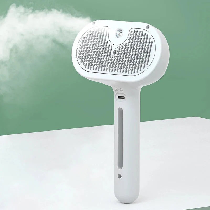 L&W BROS Brush With Steam Spray