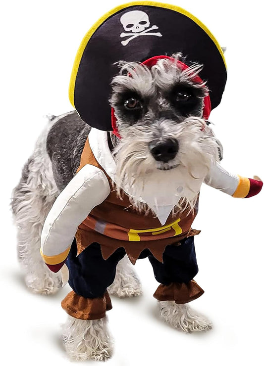 Costume Pirates of The Caribbean Style