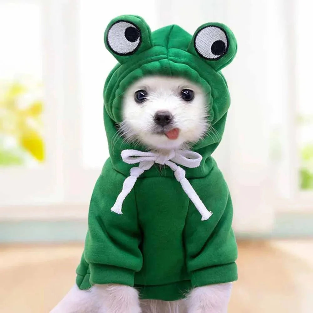 Frog Hoodie Fleece Sweater