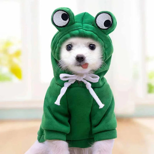 Frog Hoodie Fleece Sweater