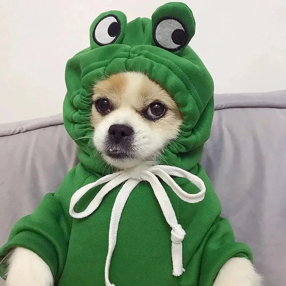 Frog Hoodie Fleece Sweater