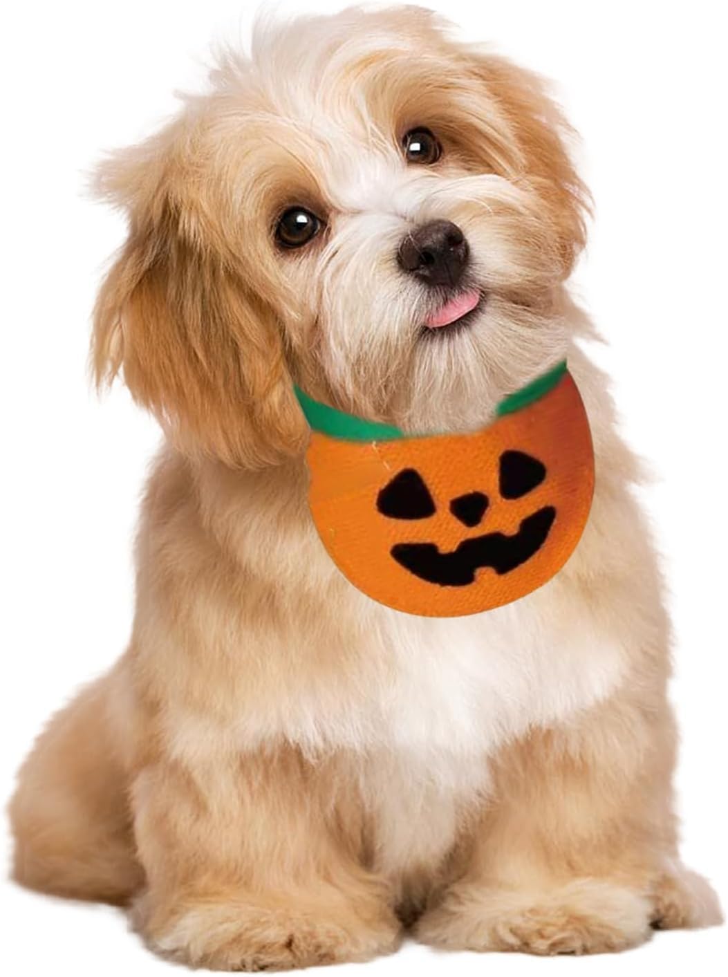 Halloween Bandana Costume Bib