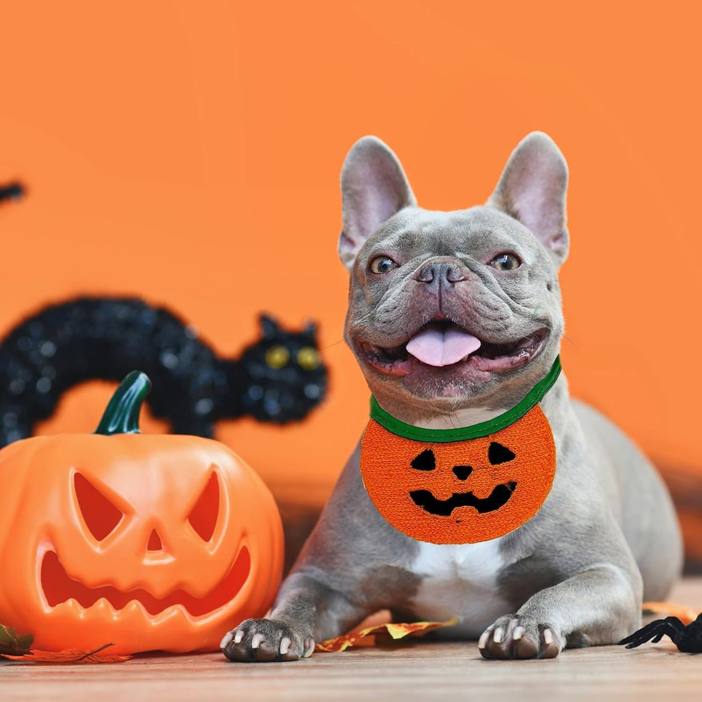 Halloween Bandana Costume Bib