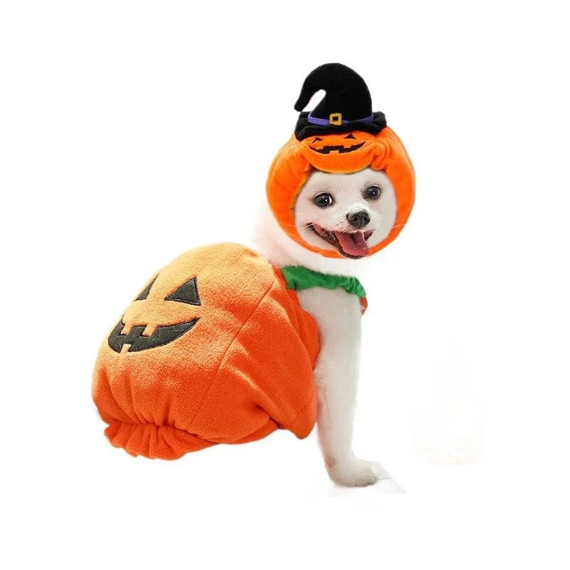Halloween Pumpkin Cute costume