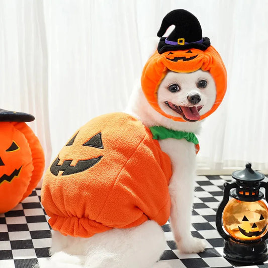 Halloween Pumpkin Cute costume