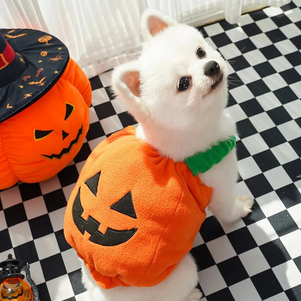 Halloween Pumpkin Cute costume