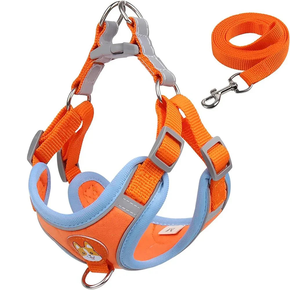 Reflective Dog Harness – Comfortable Nylon Harness for Walking