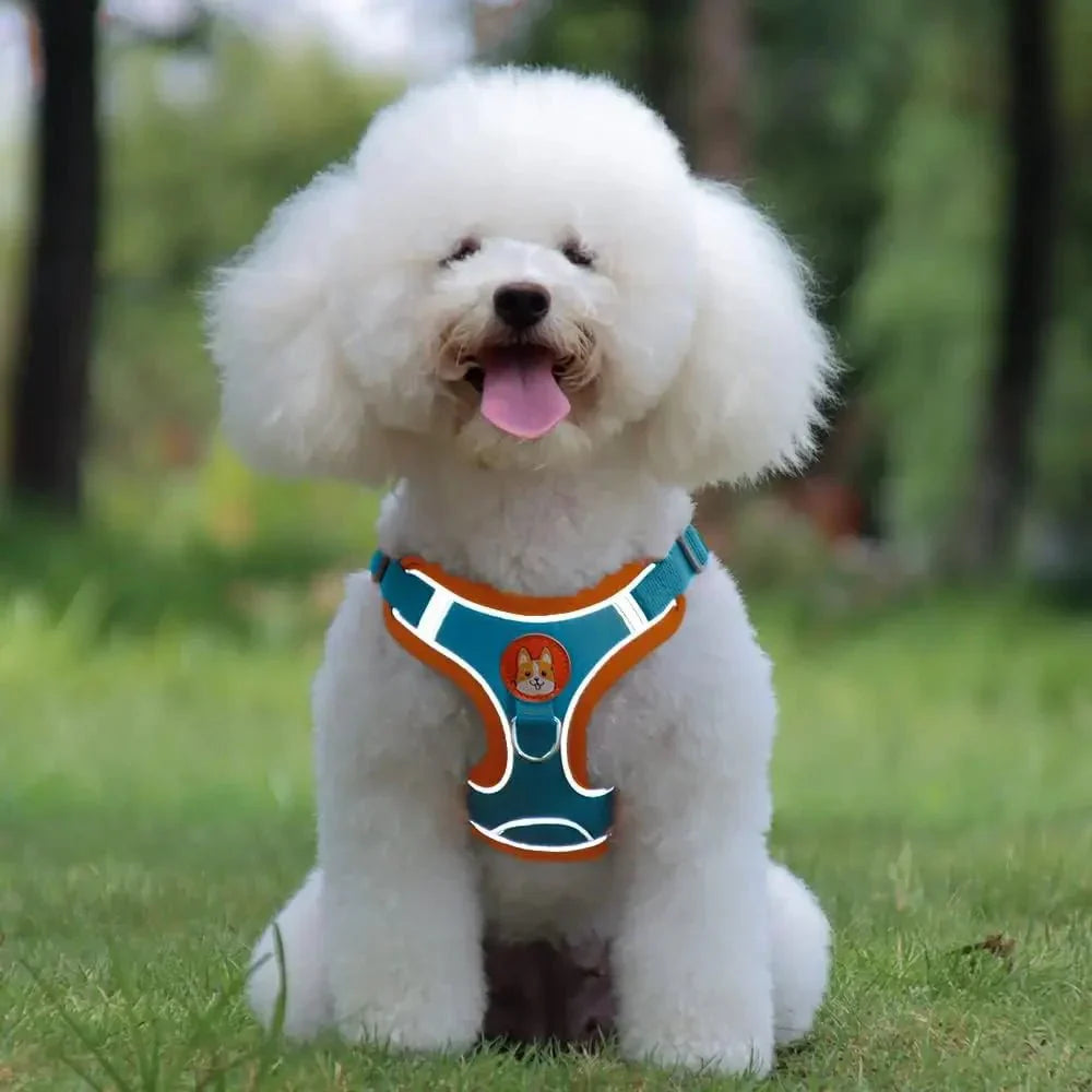 Reflective Dog Harness – Comfortable Nylon Harness for Walking