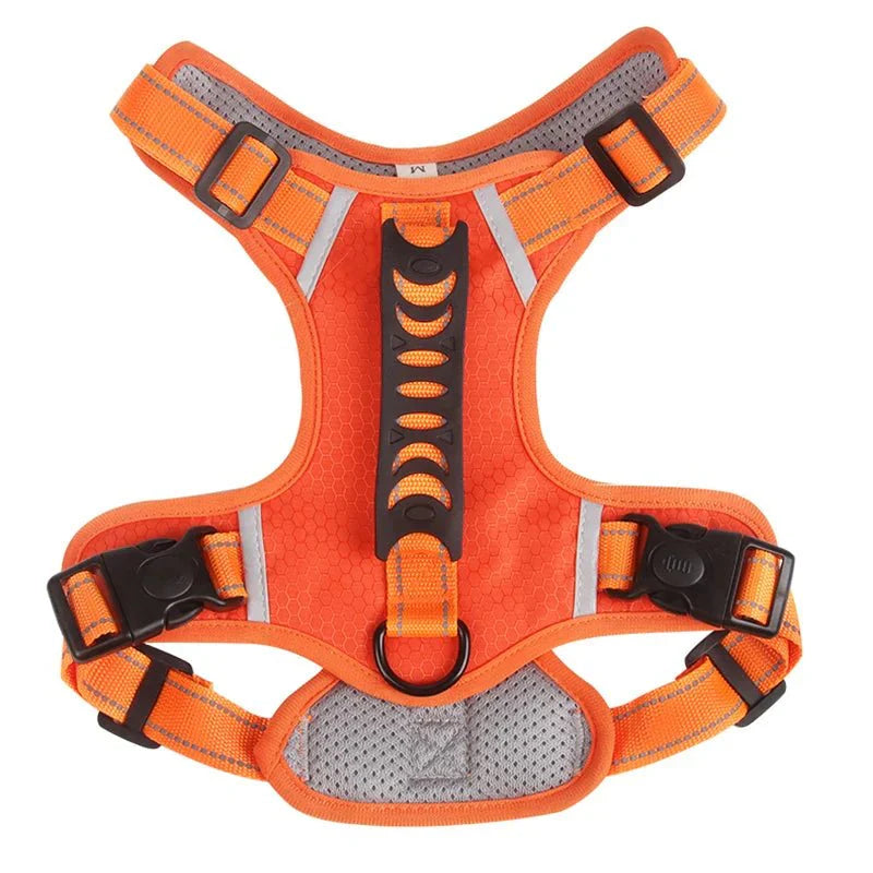 Reflective Dog Harness – Adjustable Nylon Harness for Walking