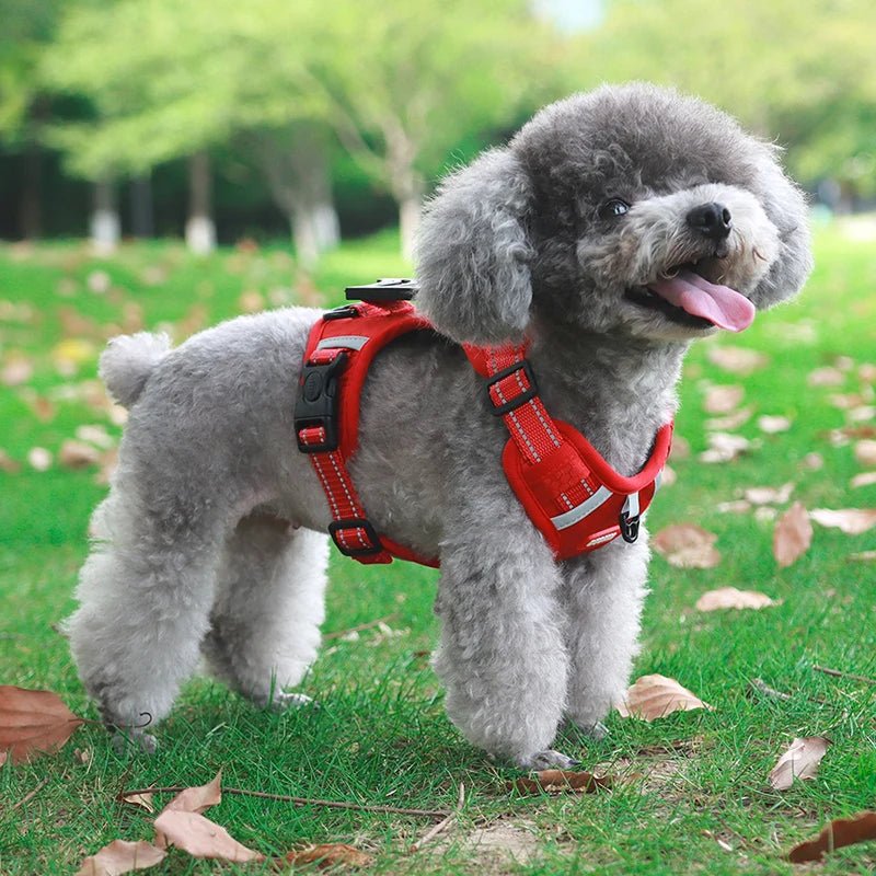 Reflective Dog Harness – Adjustable Nylon Harness for Walking