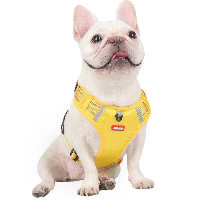 Reflective Dog Harness – Adjustable Nylon Harness for Walking