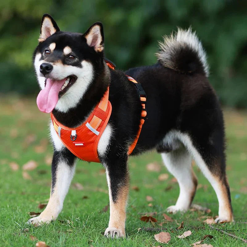 Reflective Dog Harness – Adjustable Nylon Harness for Walking