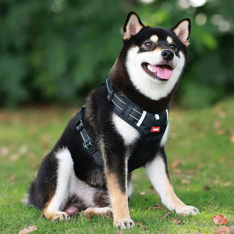 Reflective Dog Harness – Adjustable Nylon Harness for Walking