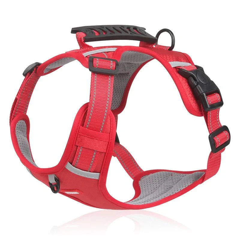 Reflective Dog Harness – Adjustable Nylon Harness for Walking