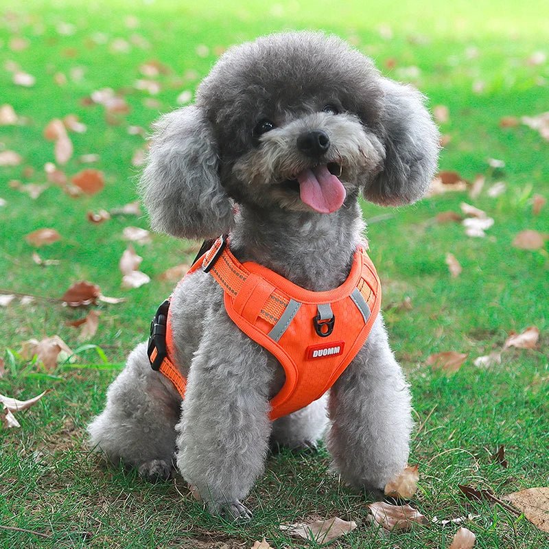 Reflective Dog Harness – Adjustable Nylon Harness for Walking