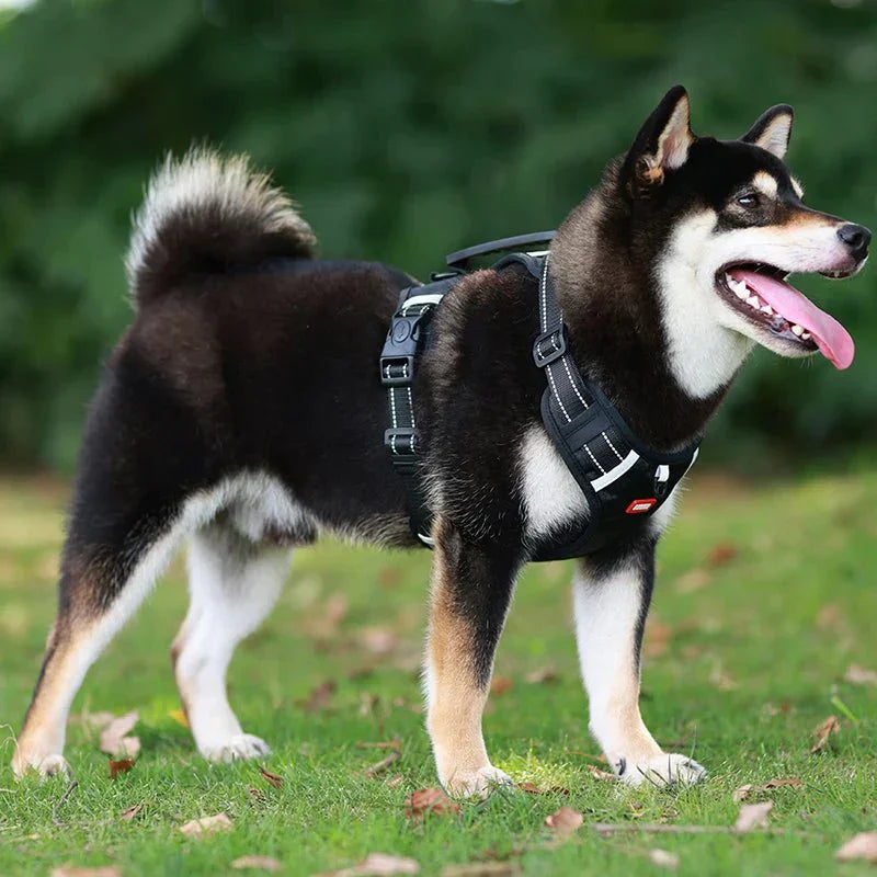 Reflective Dog Harness – Adjustable Nylon Harness for Walking