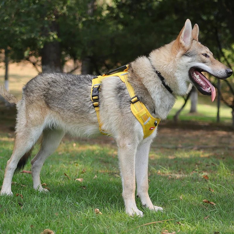 Reflective Dog Harness – Adjustable Nylon Harness for Walking