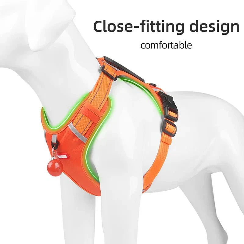Reflective Dog Harness – Adjustable Nylon Harness for Walking