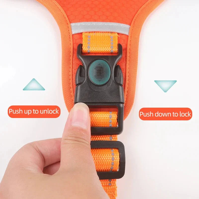 Reflective Dog Harness – Adjustable Nylon Harness for Walking