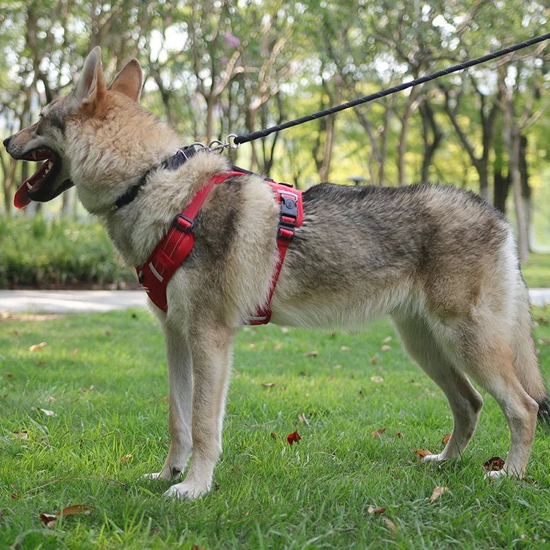 Reflective Dog Harness – Adjustable Nylon Harness for Walking