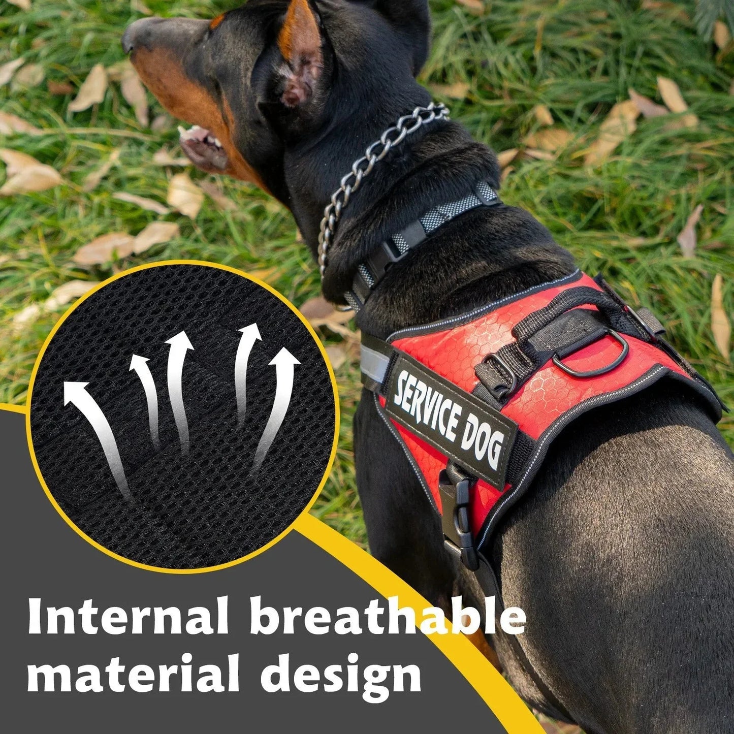 Reflective Adjustable Dog Harness – Strong Polyester for Walking