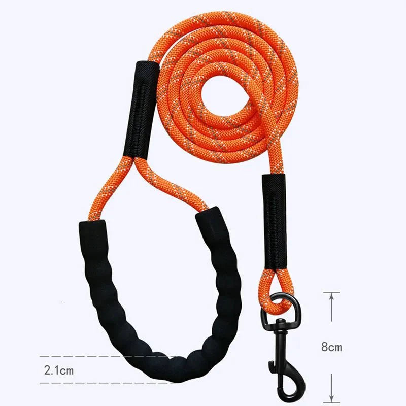 Long Reflective Training Line
