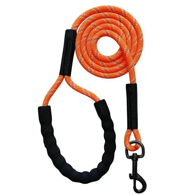 Long Reflective Training Line