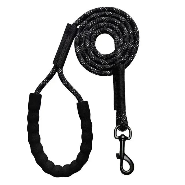 Long Reflective Training Line