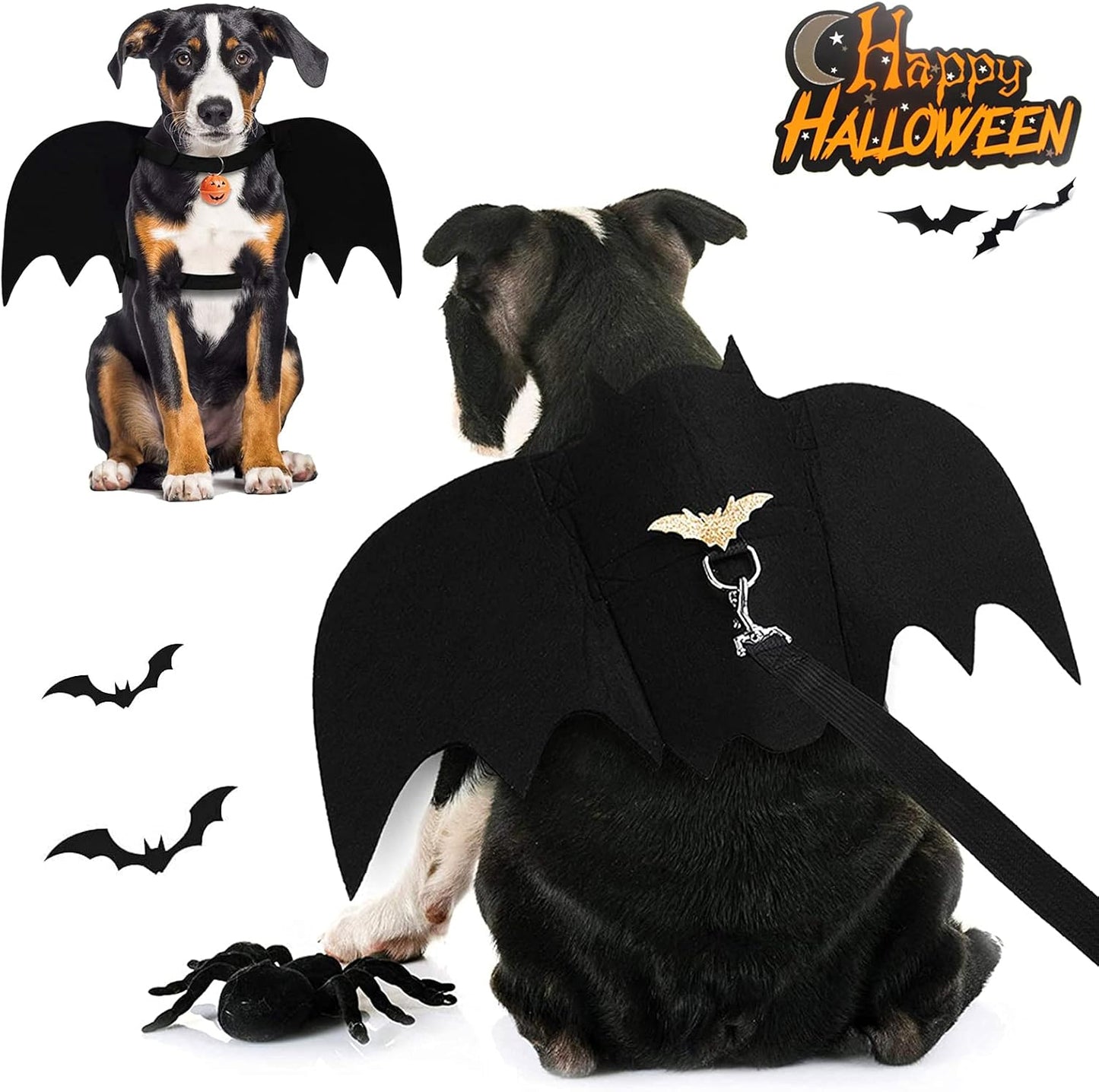 Halloween Bat Costume
