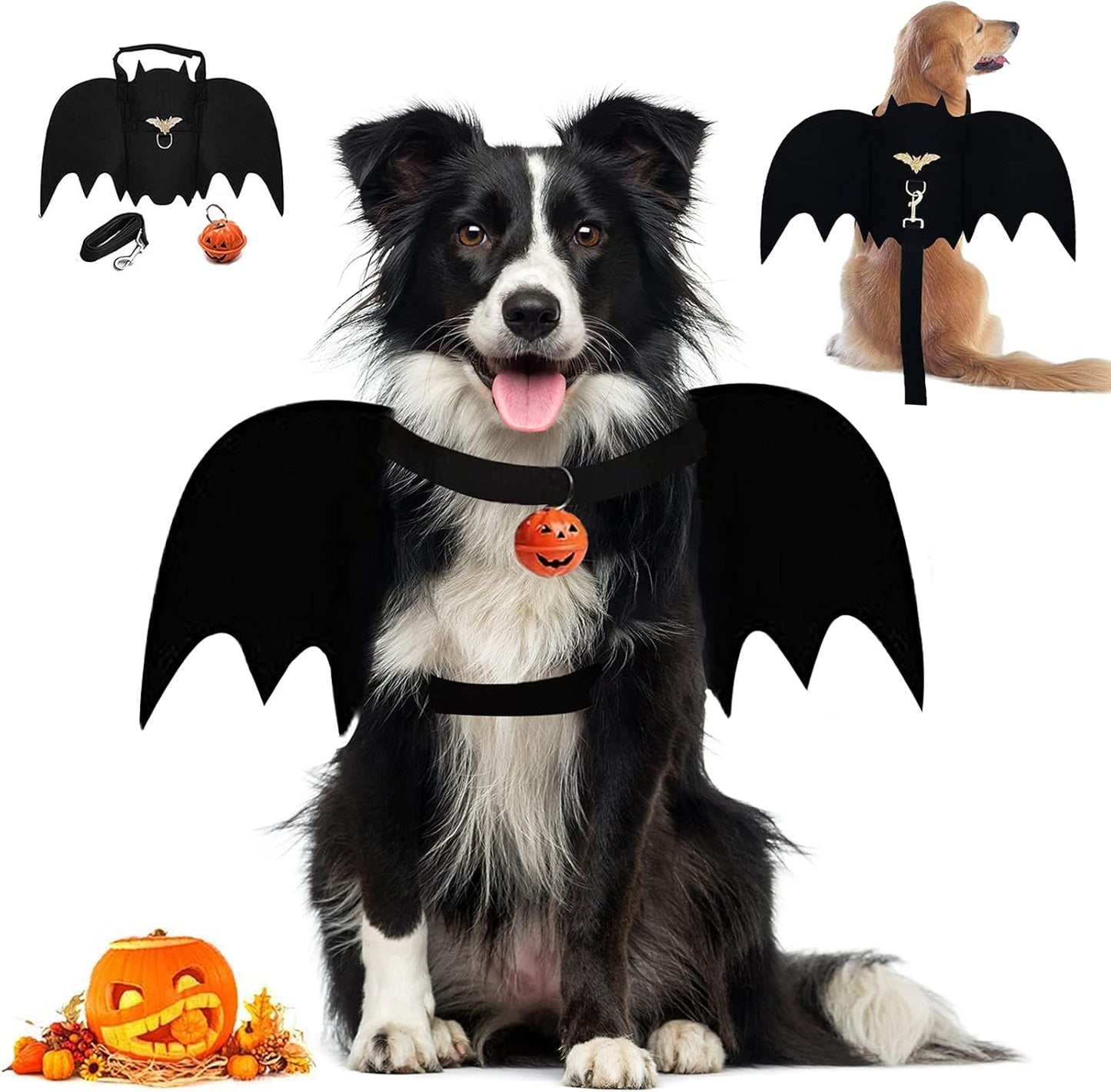 Halloween Bat Costume