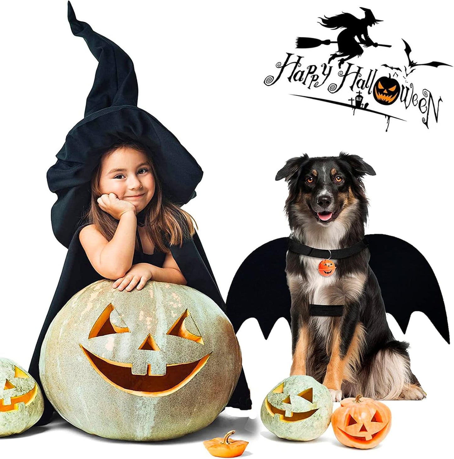 Halloween Bat Costume