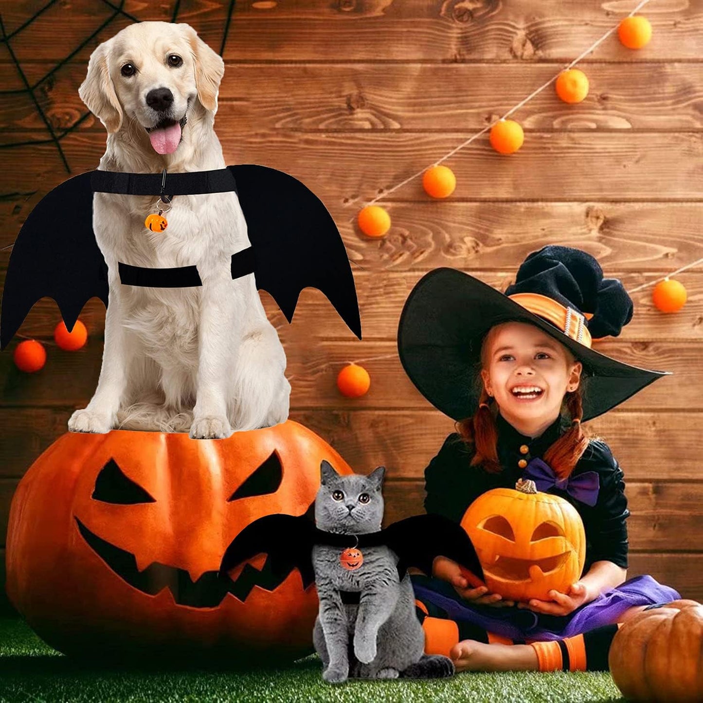 Halloween Bat Costume