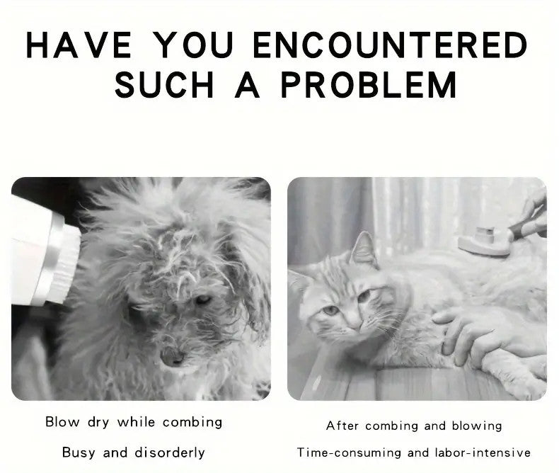 [HOT SALE] 3-in-1 Pet Grooming Hair Dryer