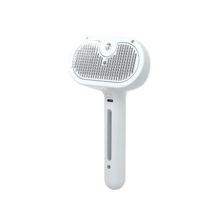L&W BROS Brush With Steam Spray