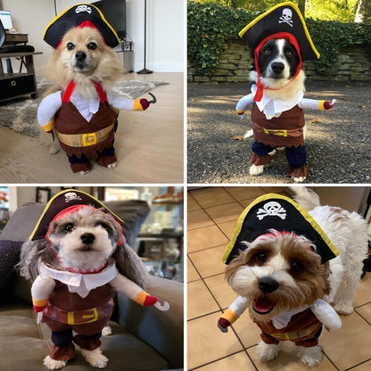 Costume Pirates of The Caribbean Style
