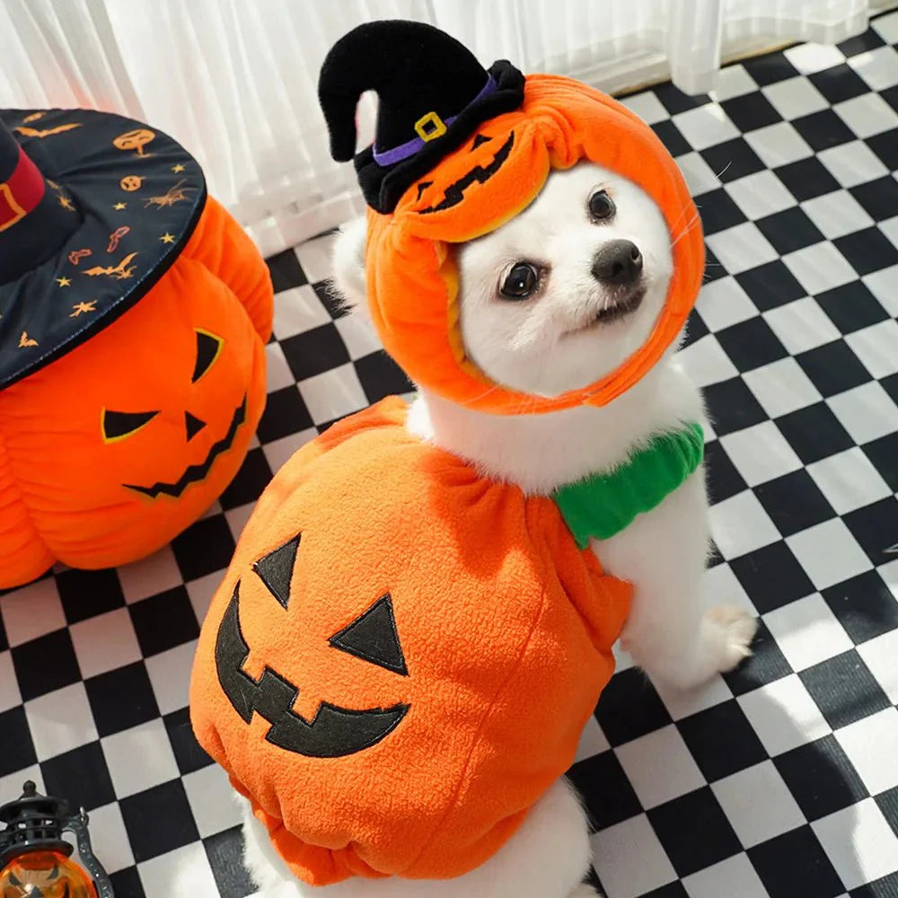 Halloween Pumpkin Cute costume