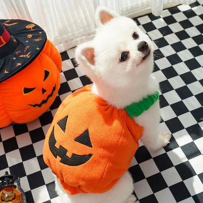 Halloween Pumpkin Cute costume