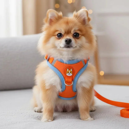 Reflective Dog Harness – Comfortable Nylon Harness for Walking