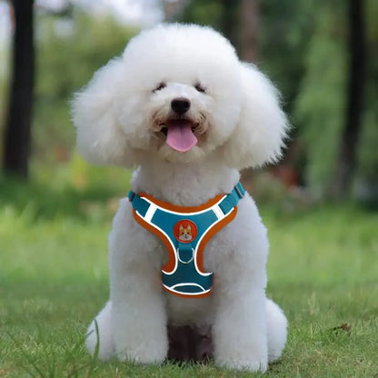 Reflective Dog Harness – Comfortable Nylon Harness for Walking