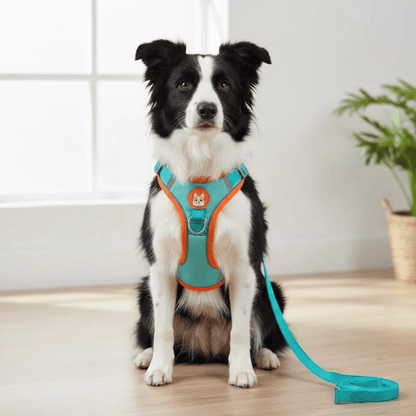 Reflective Dog Harness – Comfortable Nylon Harness for Walking
