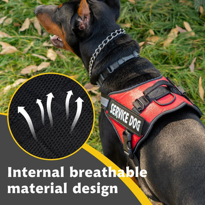 Reflective Adjustable Dog Harness – Strong Polyester for Walking
