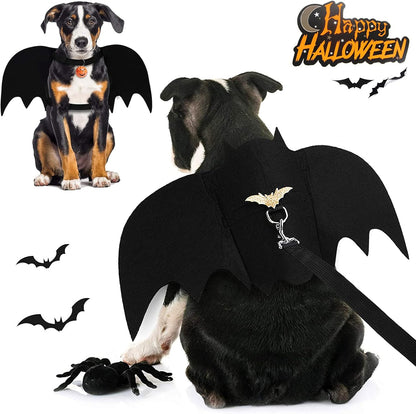 Halloween Bat Costume