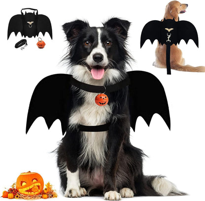 Halloween Bat Costume